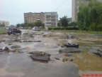 тигры по дорогам не ходят, у нас их нет, 03-07-13