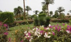 отель Hilton, Sharm El Sheikh 5*, 15-07-13