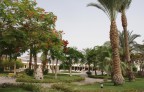 отель Hilton, Sharm El Sheikh 5*, 15-07-13