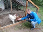 хороший петух , толстым не бывает :), 30-06-15