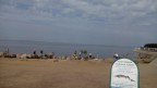 Финский залив. Петергоф, 25-08-15
