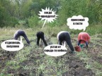 Зелёный фитнес!, 18-05-16