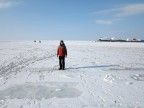 На льду Амурского залива, 27-01-17