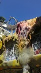 Крейзи_Haus - Далат, 27-04-17