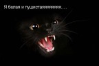 Я белая и пушистаяяяяяяя...., 21-06-17