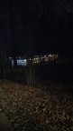 Шереметьевская дубрава, 04-11-19