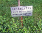 )остальные в магазин за книгой и водкой, 09-06-21