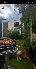Любимая Собака Нара перед Ужином, 19-05-25