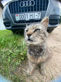 Аватар и его вторая тачка, 05-07-25