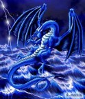 Blue Dragon1, 25-01-09
