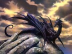 Black Dragon, 25-01-09